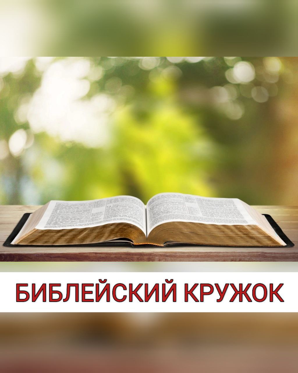 Воскресные беседы с настоятелем